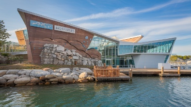 maritime aquarium at norwalk