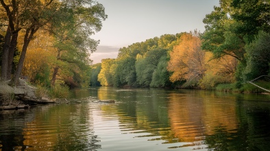 mill river park